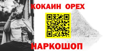 прущие грибы Будённовск