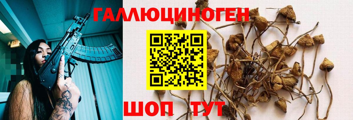 Псилоцибиновые грибы MAGIC MUSHROOMS  Псилоцибиновые грибы прущие грибы  Курган  Вход с VPN 